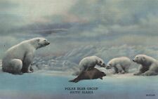 Postcard AK Polar Bear Group eating a Seal Artic Alaska Snow Ice Denver Museum picture