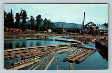 Tacoma WA-Washington, Typical Saw Mill and Log Pond, Vintage Postcard picture