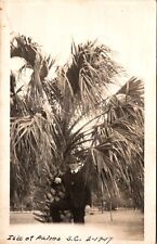 Isle of Palms, SC Man Leaning on Palm Tree 1917 RPPC Real Photo Postcard J465 picture