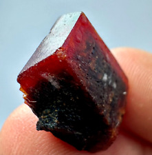 31 Carat Extremely Rare  Top Red Tantalite Huge Crystals On From Kunar @Afg picture