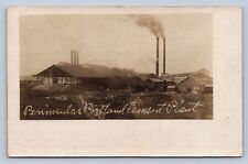 DS3/ Cement City Michigan RPPC Postcard c1910 Peninsular Cement Factory 95 picture