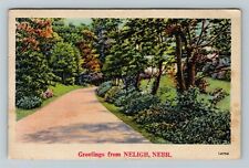 Neligh NE, Scenic View Walking Path With Trees, Nebraska Vintage Postcard picture