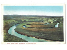 c.1931 Trout Creek Trademark Yellowstone Park Montana MT Postcard POSTED picture