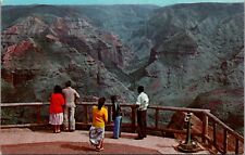 Waimea Canyon HI Puukapele Lookout Panorama Tourists Onlookers Teich 1959 UNP picture