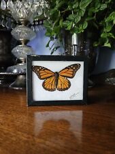 Vintage Framed Monarch Butterfly Riker Mount picture