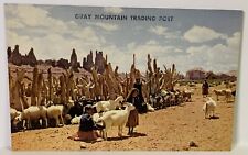 Postcard AZ Arizona Gray Mountain Trading Post Navajo Girls Tending Sheep Goats picture