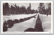 Postcard Snow Sports are Popular in California Vintage Cars picture