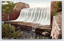 c1905~Beardsly Park~Waterfall~Bridgeport Connecticut CT~Antique Postcard picture