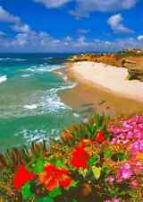 Wipeout Beach, Postcard La Jolla (San Diego)  - 3D Lenticular picture