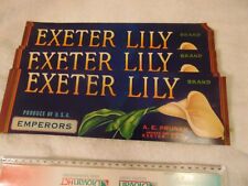 Wholesale Lot 100 OLD VINTAGE EXETER LILY BRAND EMPERORS GRAPE CRATE LABELS picture