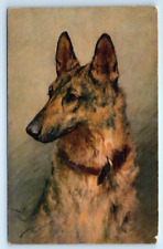 German Shepherd? Artist Signed 1926 Postcard picture