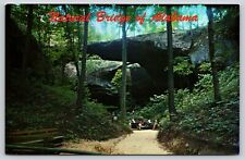 Postcard Natural Bridge of Alabama Winston County Geology picture