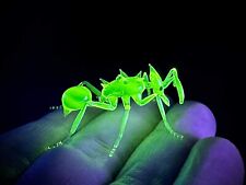 Uranium Glass Vaseline Glass Leaf Cutter Ant 🔥 🔥 🐜 🐜 In Stock picture