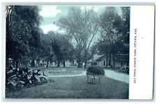 1909 Lily Pond Forest Park Trees Scene Ottawa Kansas KS Posted Vintage Postcard picture