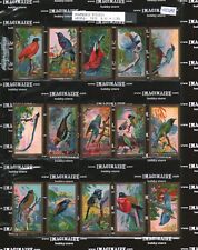 1935 Abdulla & Co. Feathered Friends complete set 25/25 (400289) picture