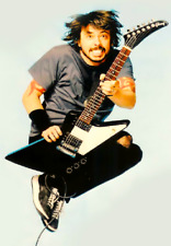 DAVE GROHL FOO FIGHTERS Refrigerator Photo Magnet @ 3