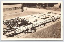 RPPC~Company Clothesline~Hanging The Laundry~Sepia~Military Barracks~Vintage PC picture