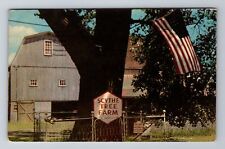 Geneva NY-New York, Historic Scythe Tree, c1951 Antique Vintage Postcard picture
