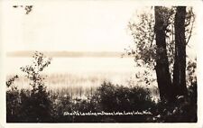 NE Hale Lupton Long Lake MI RPPC 1930s SHORTS LANDINGDease Lake settled 1880s picture