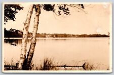 Postcard Diamond Lake, White Cloud, Michigan Birch Trees RPPC B58 picture