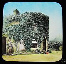 Glass Magic Lantern Slide INTERESTING IVY FACED HOUSE C1890  picture