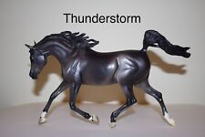 Breyer Thunderstorm (Weather Girl Treasure Hunt Model) picture