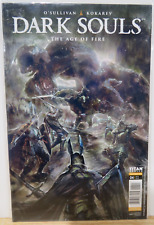 Dark Souls The Age of Fire #4 Cover A picture