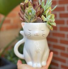Cat Planter Pot for Succulents & Plants | Succulent Planter | Animal Planter  picture