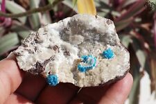 Amazing Natural Cavansite blue flower on Stilbite Matrix Base 125 gram Minerals picture
