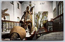 Interior Butterfield Museum Dartmouth College Hanover New Hampshire Dinosaur picture