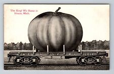 Ithaca MI-Michigan, The Kind We Raise, Giant Pumpkin Railroad Vintage Postcard picture