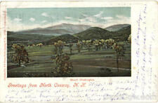 1909 Greetings From North Conway,NH Carroll County New Hampshire N.W. Pease picture