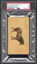 1892 N101 W. Duke & Sons Breeds Of Horses SHETLAND PONY PSA 3 VG picture