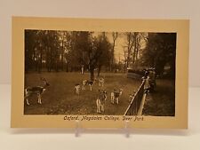 1900 Frith's Series Post Card Oxford Magdalen College Deer Park F Frith & Co Ltd picture