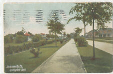 FL JACKSONVILLE - SPRINGFIELD PARK - postcard 1911 picture