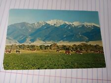 Postcard Montana's Man Mountain 269 picture