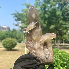 207G  Natural Himalayan Black Smoked Crystal Meditation Energy Crystal cluster picture