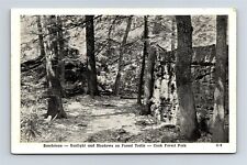 Postcard PA Cook Forest Park Pennsylvania Sandstone Sunlight & Shadows J30 picture