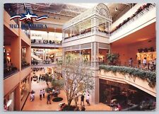 Postcard Mall Of America Interior View Minneapolis Minnesota picture
