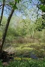 Photo 6x4 Pond in Bonus Wood Upminster This pond had nearly dried out bef c2020 picture