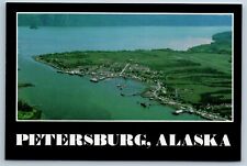 Aerial View Petersburg Alaska 4X6 Continental Postcard A1N picture