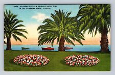 FL-Florida, Entrancing Palm Fringed Shore Line, Antique, Vintage Postcard picture