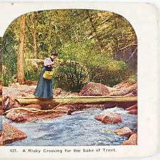 Woman Crossing River Log Stereoview c1905 Trout Fish Antique Lady Girl Card C949 picture