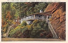 Asheville Lake Lure NC North Carolina Chimney Rock Inn Hotel Vtg Postcard C15 picture