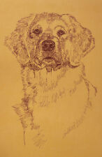 GOLDEN RETRIEVER - Rainbow Bridge Personalized Kline dog art lithograph. #117 picture