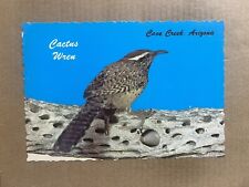 Postcard Cave Creek AZ Arizona Greetings State Bird Cactus Wren Vintage PC picture