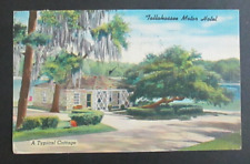 Motor Motel Tallahassee FL Posted Linen Postcard picture