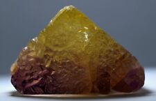 266GM Wel Termianted Natural Water Etched Huge Bi Color Kunzite Crystal Specimen picture