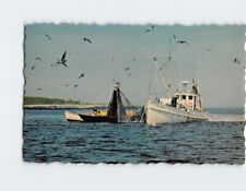 Postcard Fishing Off the Maine Coast USA picture