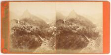 Germany Moser Senior Berlin Photo Stereo PL55L3n Vintage Albumin picture